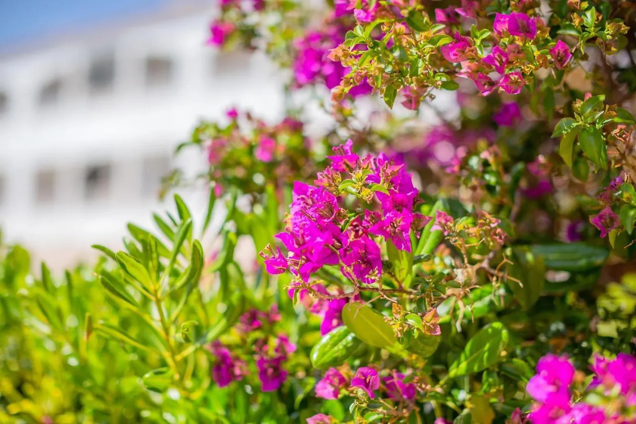 Calan Blanes Park 2Adults 4Children Apartment Cala'N Blanes  0*, Cala'N Blanes (Menorca) Spain